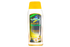 SHAMPOO DE MANZANILLA